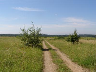 Największy jej bok ma nieco ponad 800m długości.