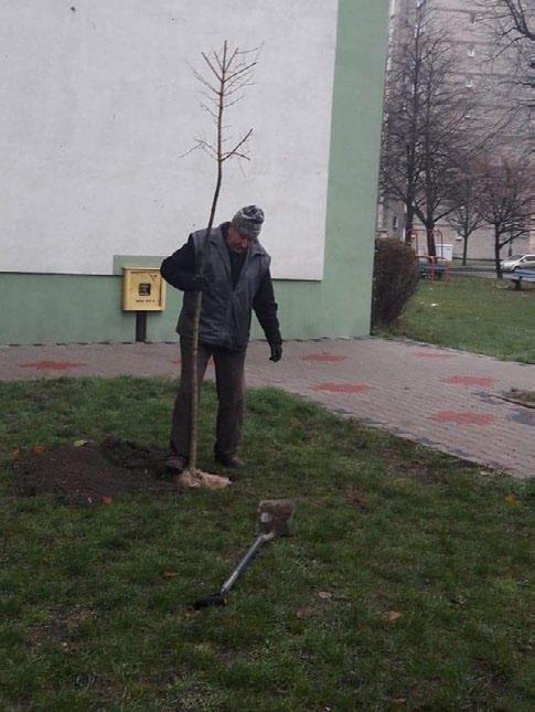 Mimo niesprzyjających warunków pogodowych, przy pełnej mobilizacji wszystkich pracowników naszej Administracji, w ciągu kilku dni nasze osiedle wzbogaciło się łącznie o nasadzenia.