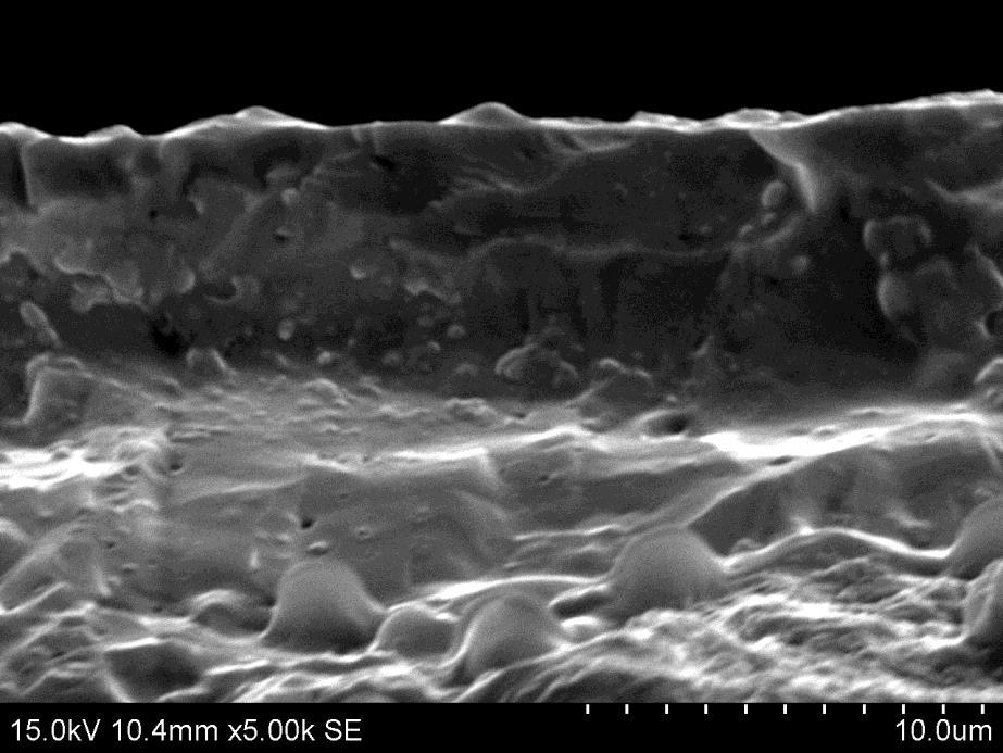 Zdjęcie SEM powierzchni elektrolitu 8YSZ.