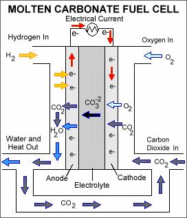 elektrochemiczne A: H H 1 : O H e H O K e 1 S : H O HO A: H (
