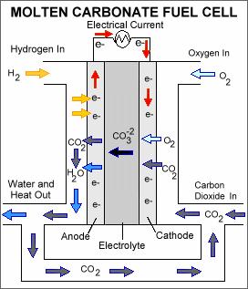 elektrochemiczne A: H H 1 : O H e H O K e 1 S : H O HO A: H (