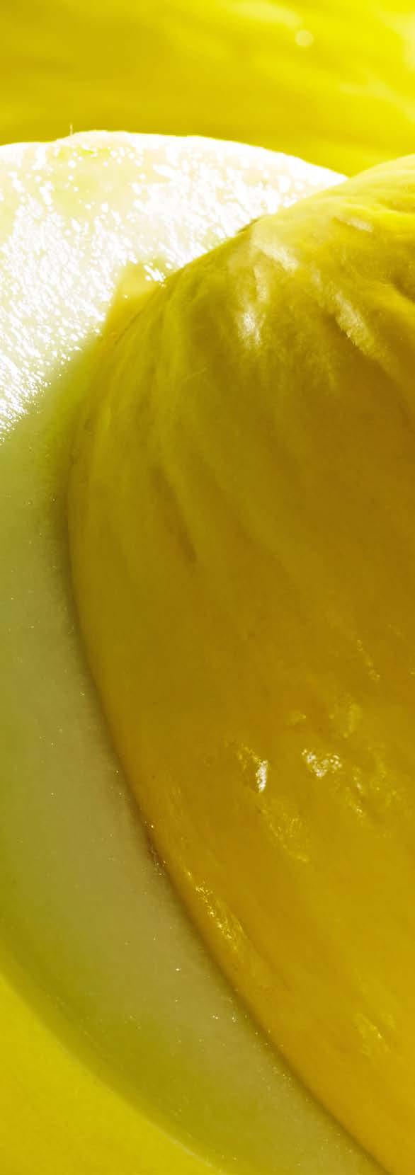 Melonowa świeżość KOKTAJL OWOCOWY SKŁADNIKI: 2 porcje 2 ogórki 1 1/2 szklanki miąższu melona miodowego 1 limonka garść świeżej mięty SPOSÓB WYKONANIA: Z ogórków i melona wycisnąć sok.