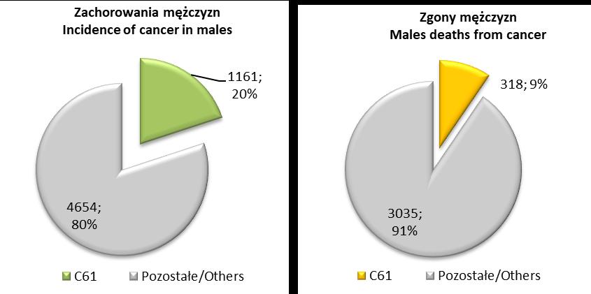 7.5 Nowotwory złośliwe gruczołu krokowego (C61) Do Pomorskiego Rejestru Nowotworów w 2016 zgłoszono 1161 nowych przypadków zachorowań na nowotwory złośliwe prostaty, tj. o 183 więcej niż w 2015 roku.