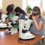 Program merytoryczny warsztatów Wyspa Przyrodników Techniki mikroskopowania Jak działa mikroskop? Tradycyjny mikroskop optyczny i binokular różnice w działaniu. Przygotowanie preparatów.