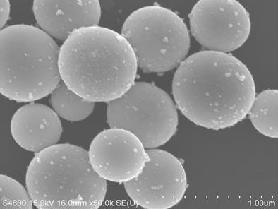 500 nm 500 nm 500 nm 500 nm 1 h