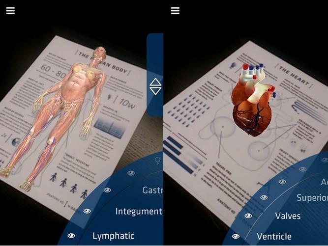 Anatomy 4D rozszerzona rzeczywistość Układy