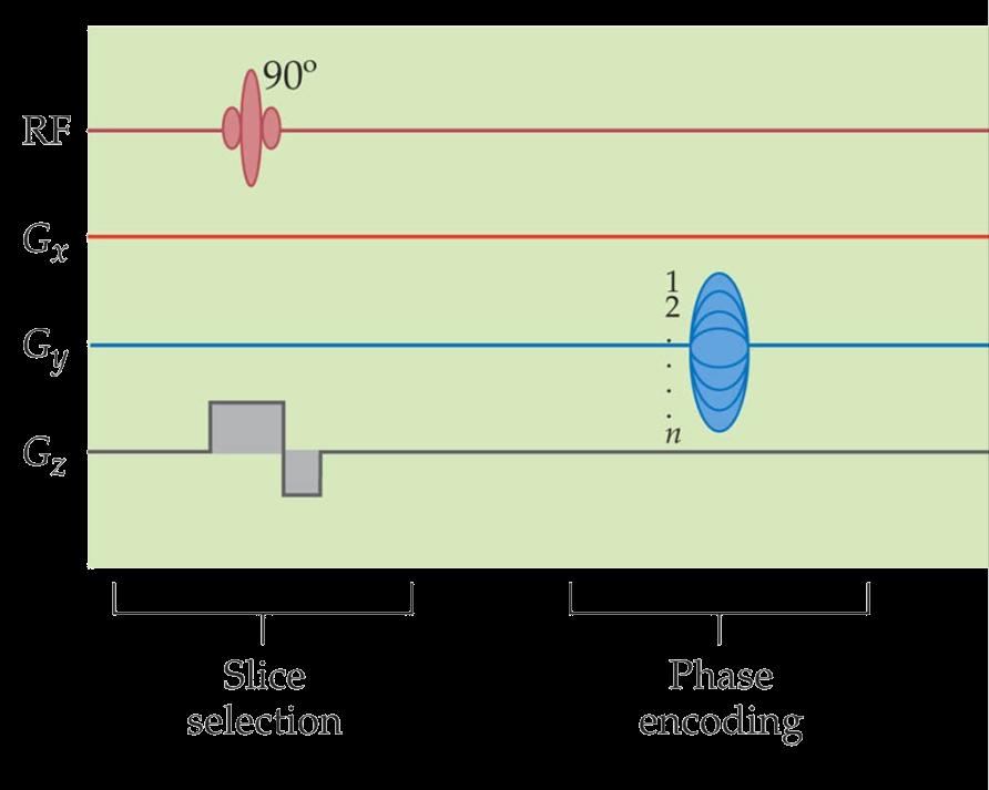 sekwencja impulsowa parametry skanowania TE RT RF impuls RF
