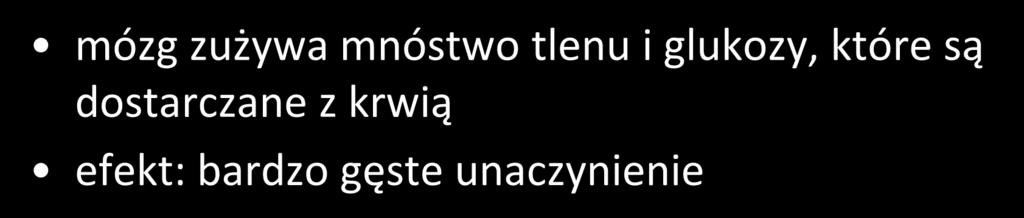 Fizjologia mózgu