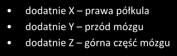 półkula dodatnie Y