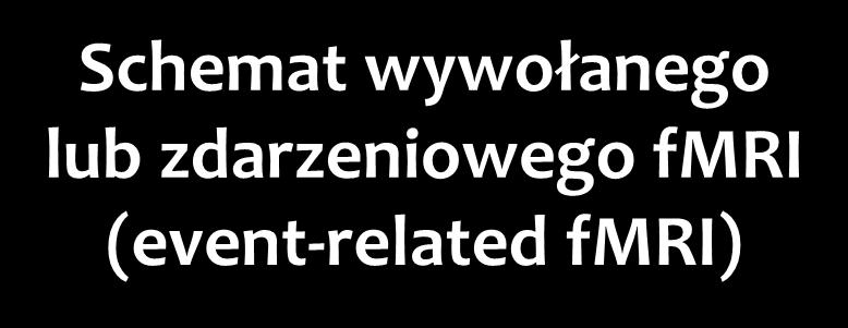 odd-ball wrażliwość aktywności BOLD na krótkotrwałe bodźce możliwość sortowania
