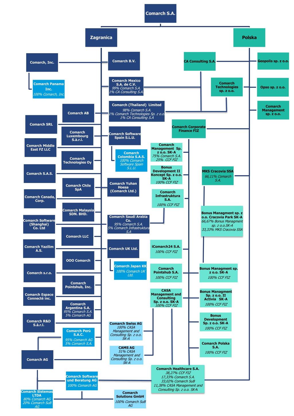 1.1. Struktura kapitałowa Grupy Comarch 100% udział