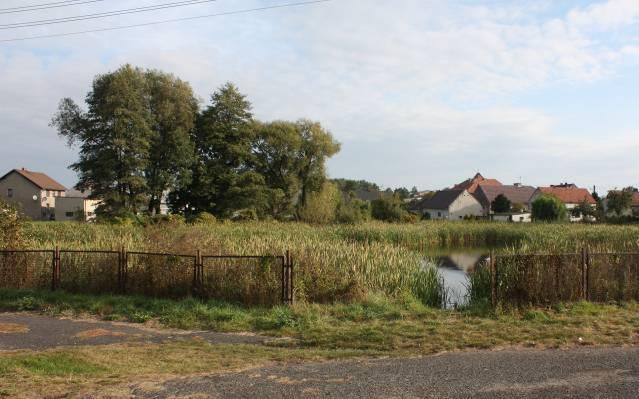 Obrowiec -