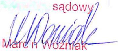 w: Konstytucja Rzeczypospolitej Polskiej. Komentarz. Tom IV. Wydawnictwo Sejmowe, Warszawa 2005, str. 4 i n.).
