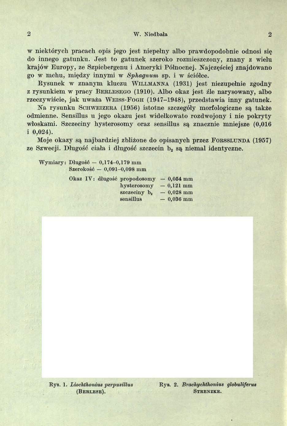2 W. Niedbała 2 w niektórych pracach opis jego jest niepełny albo prawdopodobnie odnosi się do innego gatunku.