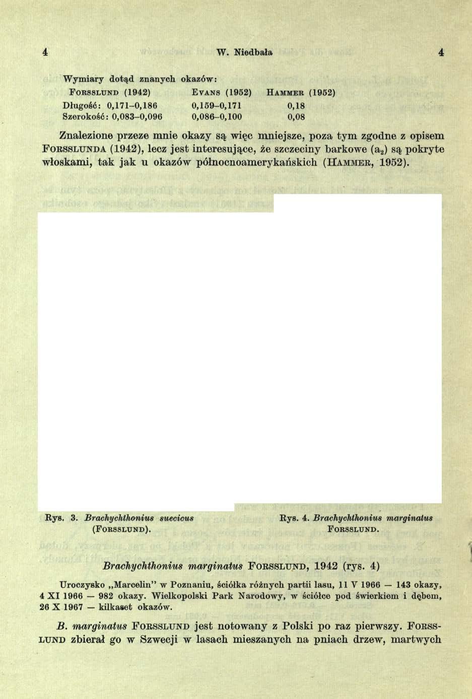 4 W. Niedbała 4 W ym iary do tąd znanych okazów: F o r s s l u n d (1942) E v a n s (1952) H a m m e r (1952) Długość: 0,171-0,186 0,159-0,171 0,18 Szerokość: 0,083-0,096 0,086-0,100 0,08 Znalezione