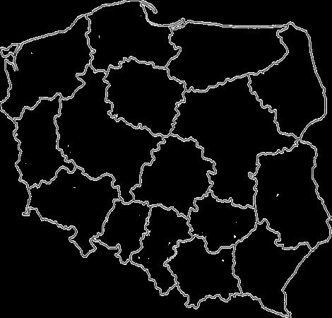 ruchomego wykorzystując go na potrzeby własne i Klientów.