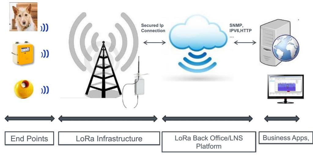Inteligentne sieci na bazie systemów LPWAN Emitel wykorzystuje m.in.