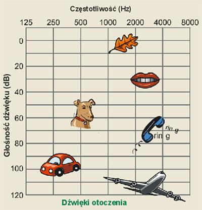 GŁOŚNOŚĆ DŹWIĘKU Natężenie dźwięku jest wielkością