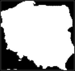 pokazy, warsztaty