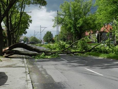 konsekwencjami zmian klimatu zarówno negatywnymi, jak i pozytywnymi.