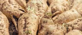 Wspomagający działanie agrochemikaliów Atpolan 80 EC zalecany jest do stosowania z szeroką gamą agrochemikaliów.