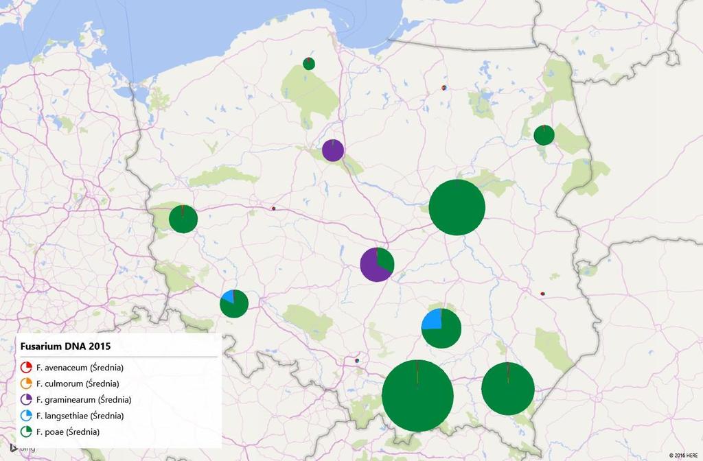 Zawartości DNA Fusarium w ziarnie pszenicy ozimej oraz frekwencja gatunków Fusarium w roku 2015