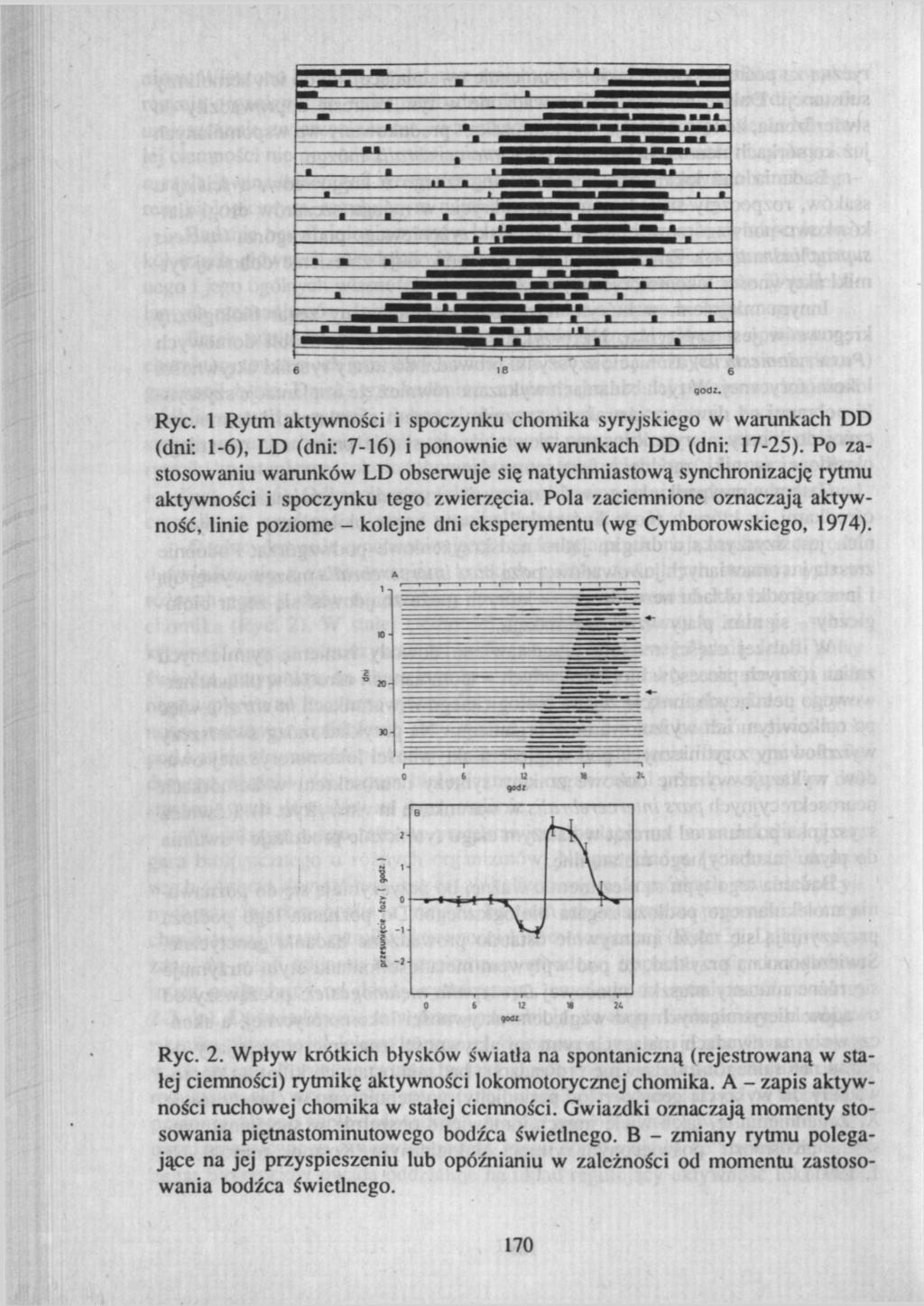 6 Rye. 1 Rytm aktywności i spoczynku chomika syryjskiego w warunkach DD (dni: 1-6), LD (dni: 7-16) i ponownie w wamnkach DD (dni: 17-25).