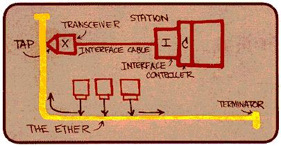 Historia ETHERNET u Wszystko zaczęło się w roku 1970 kiedy to firma Xerox zbudowała prototyp sieci komputerowej. W 1976 roku dr. Robert M.