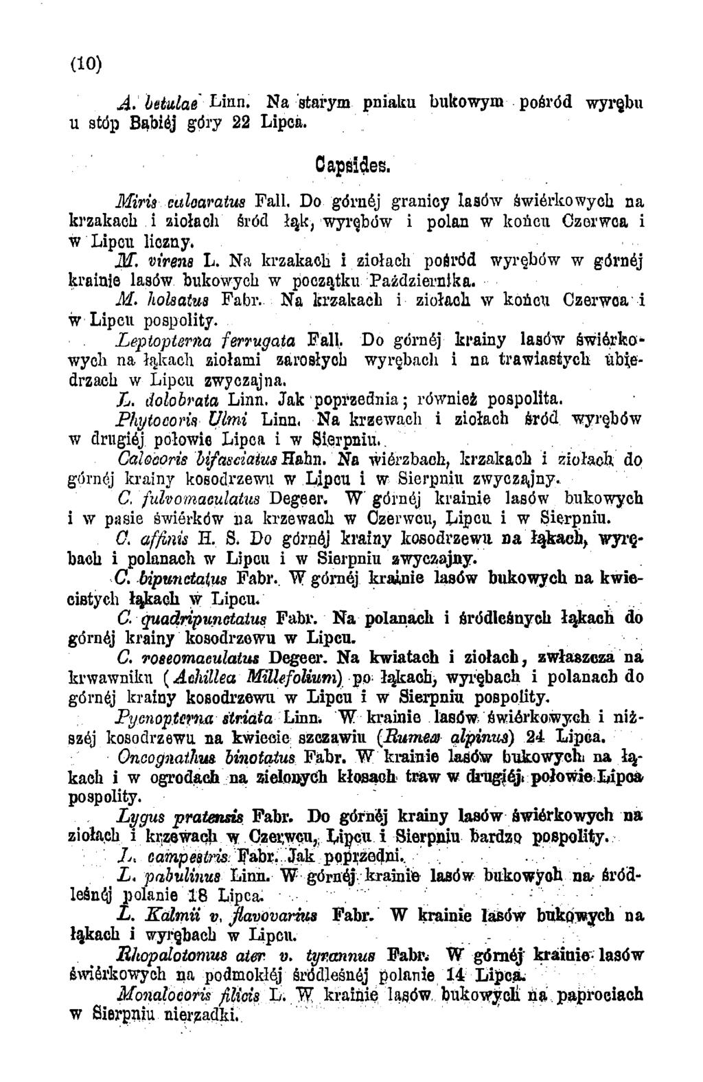 (10) A. betulae Lian. Na starym pniaku bukowym pośród wyrębu u stóp Bąbiśj góry 22 Lipca. Capsides. Miris calaaratus Fali.
