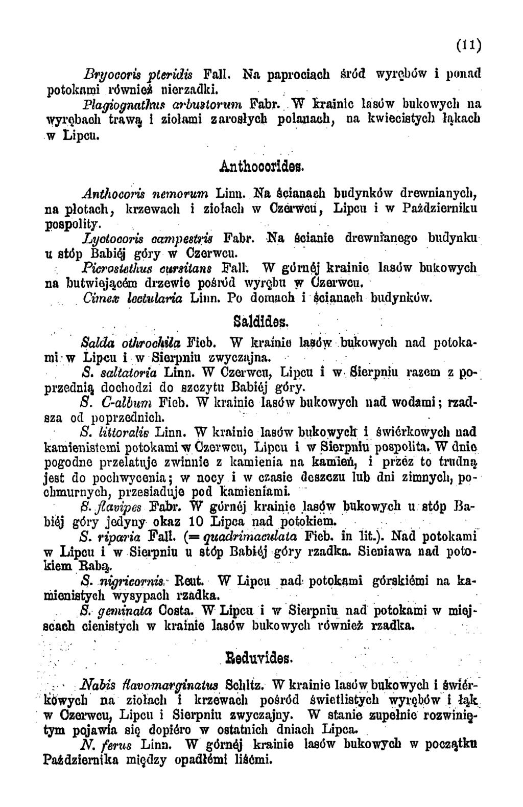 Bryocoris pteridis Fali. N a paprociach śród wyrębów i ponad potokami również nierzadki. Plagiognathus arbustorum Fabr.