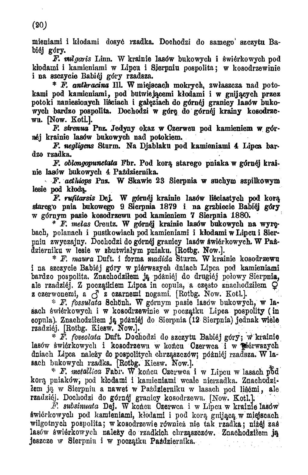 (20) mieniami i kłodami dosyć rzadka. Dochodzi do samego' szczytu Babidj góry. F. vulgaris Linn.