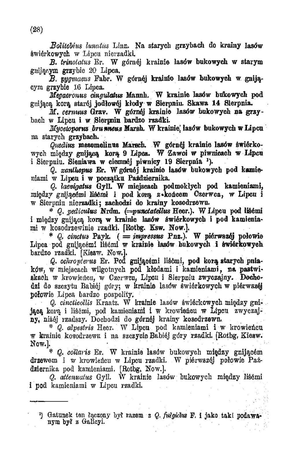 (28) Bolitobius lunatus Linn. Na starych grzybach do krainy lasów świerkowych w Lipcu nierzadki. B. tńnotatus Er. W górnej krainie lasów bukowych w starym gnijącym grzybie 20 Lipca. B. pygmaeus Fabr.
