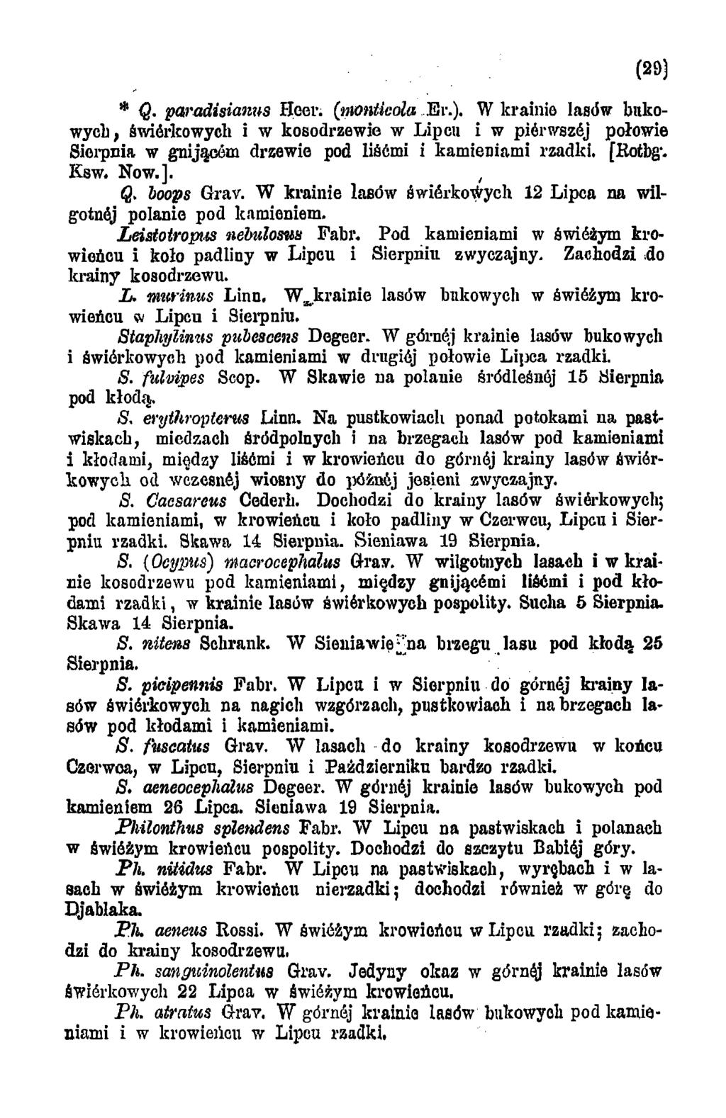 (29) * Q. paradisianus Beer. (monticola Er.). W krainie lasów bukow ycb, świerkowych i w kosodrzewie w Lipcu i w piórwszój połowie Sierpnia w gnijącem drzewie pod liśćmi i kamieniami rzadki. [Rotbg-.
