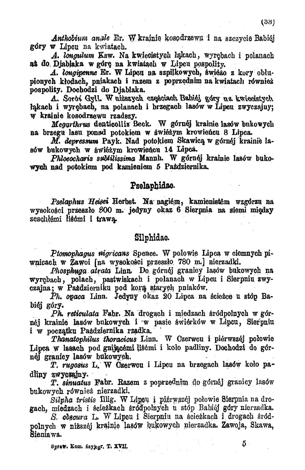Anthobium anale Er, W krajnie kosp drzewu i na szczycie Babiej góry w Lipcu na kwiatach. A. longulum Ksw. Na kwiecistych łąkach, wyrębach i polanach aź do.