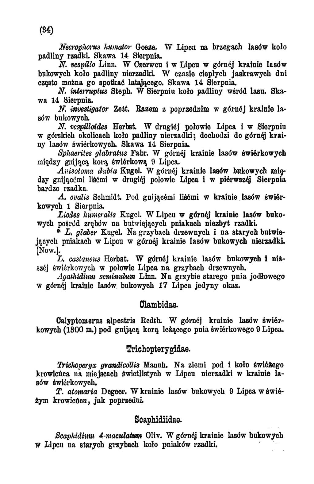(34) Necrophorus humator Goeze. W Lipcu na brzegach lasów koło padliny rzadki. Skawa 14 Sierpnia. N. vespillo Linn. W Czerwcu i w Lipcu w górnej krainie lasów bukowych koło padliny nierzadki.