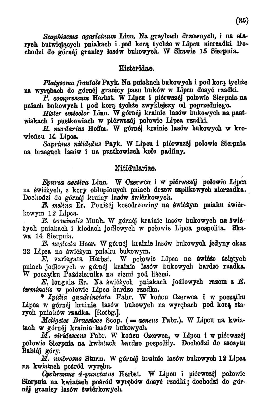 (35) SeapMsoma agaricinwn L in a N a grzybach drzewnych, i na starych butwiejących pniakach i pod korą tychże w Lipcu nierzadki. D o chodzi do górnej granicy lasów bukowych. W Skawie 15 Sierpnia.