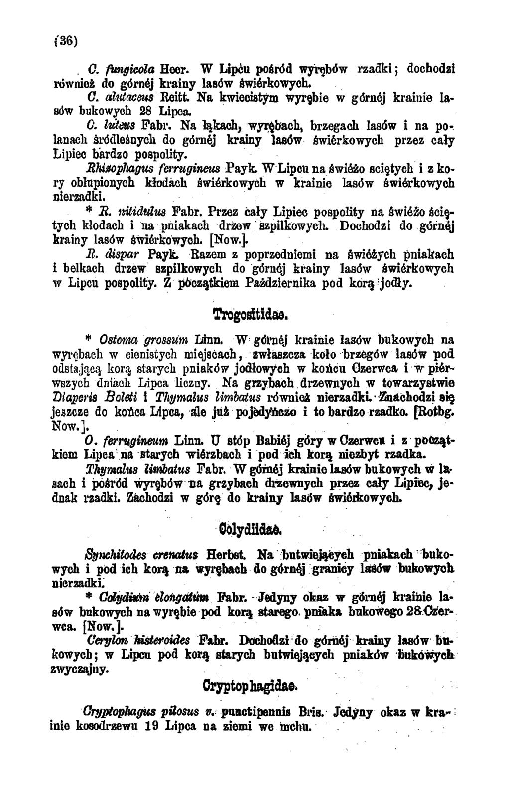 i 36) O. fungicola Heer. W Lipcu pośród wyrębów rzadki; dochodzi również do górnej krainy lasów Swićrkowych. O. amacms Reitt. Na kwiecistym wyrębie w góraój krainie lasów bukowych 28 Lipca. O. luteus Fabr.