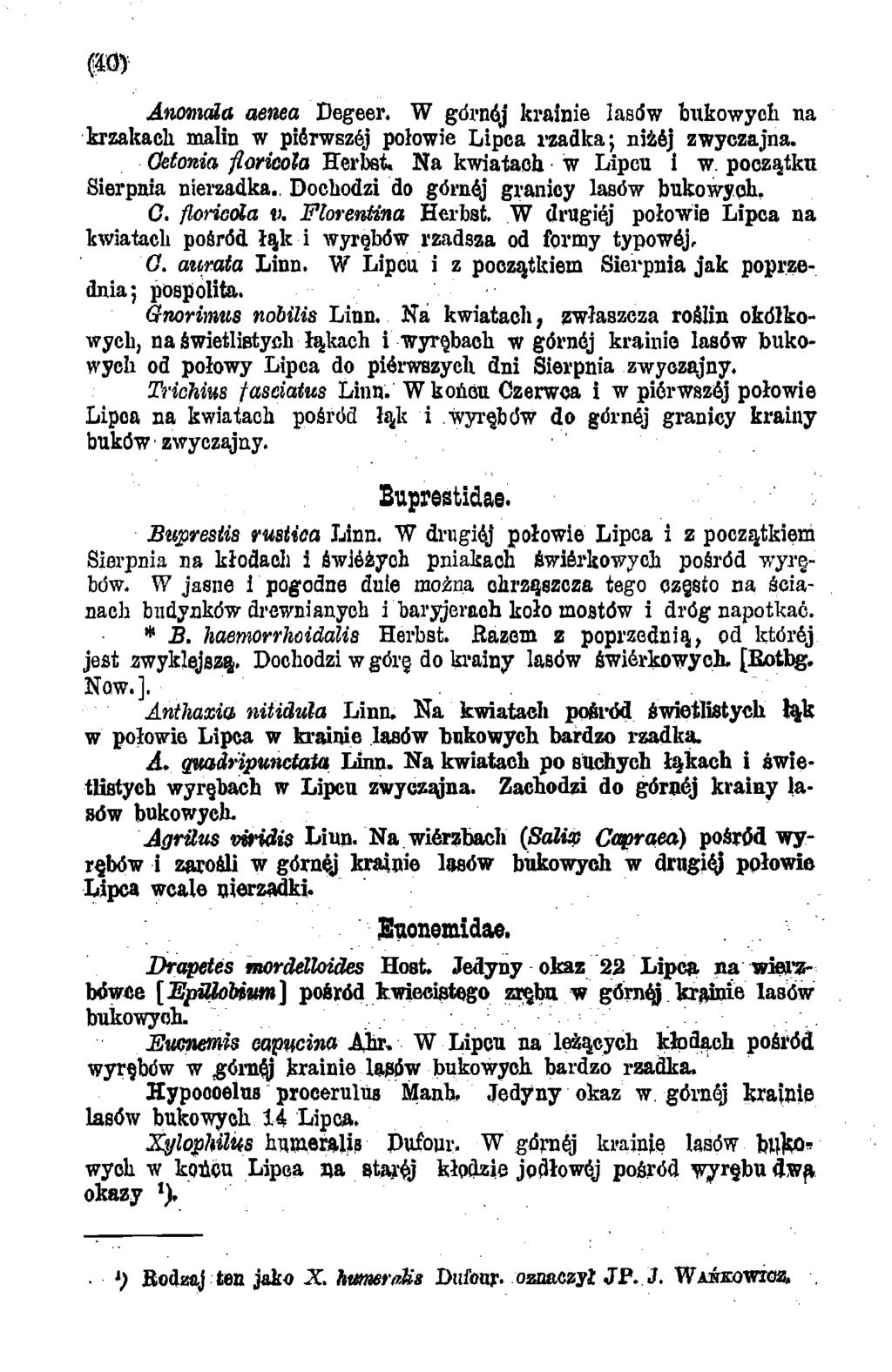 Anomala aenea Degeer. W górnej krainie lasów tankowych na krzakach malin w piórwszój połowie Lipca rzadka; niżój zwyczajna. Cetonia floricola Herbst. N a kwiatach w Lipcu i w.