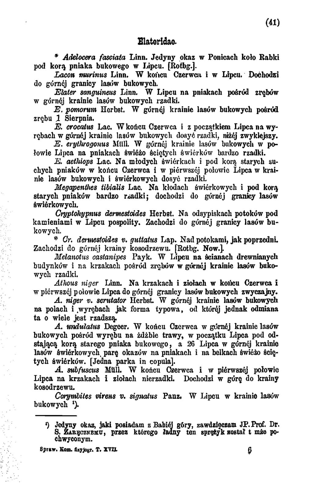 (41) Elateridae. Adelocera fasciata Linn. Jedyny okaz w Ponicacli koło Rabki pod korą pniaka bukowego w Lipcu. [Rotbg.]. Lacon murinus Linn. W końcu Czerwcii i w Lipcu.