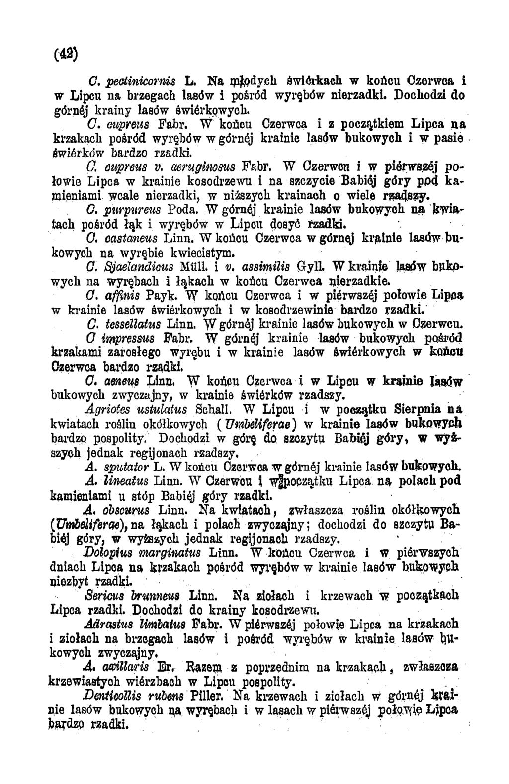 C. peotinicornis L. Na rpjfjpdycli świerkach w końcu Czerwca i w Lipcu na brzegach lasów i pośród wyrębów nierzadki. Dochodzi do górnej krainy lasów świórkowyck. C. cupreus Fabr.