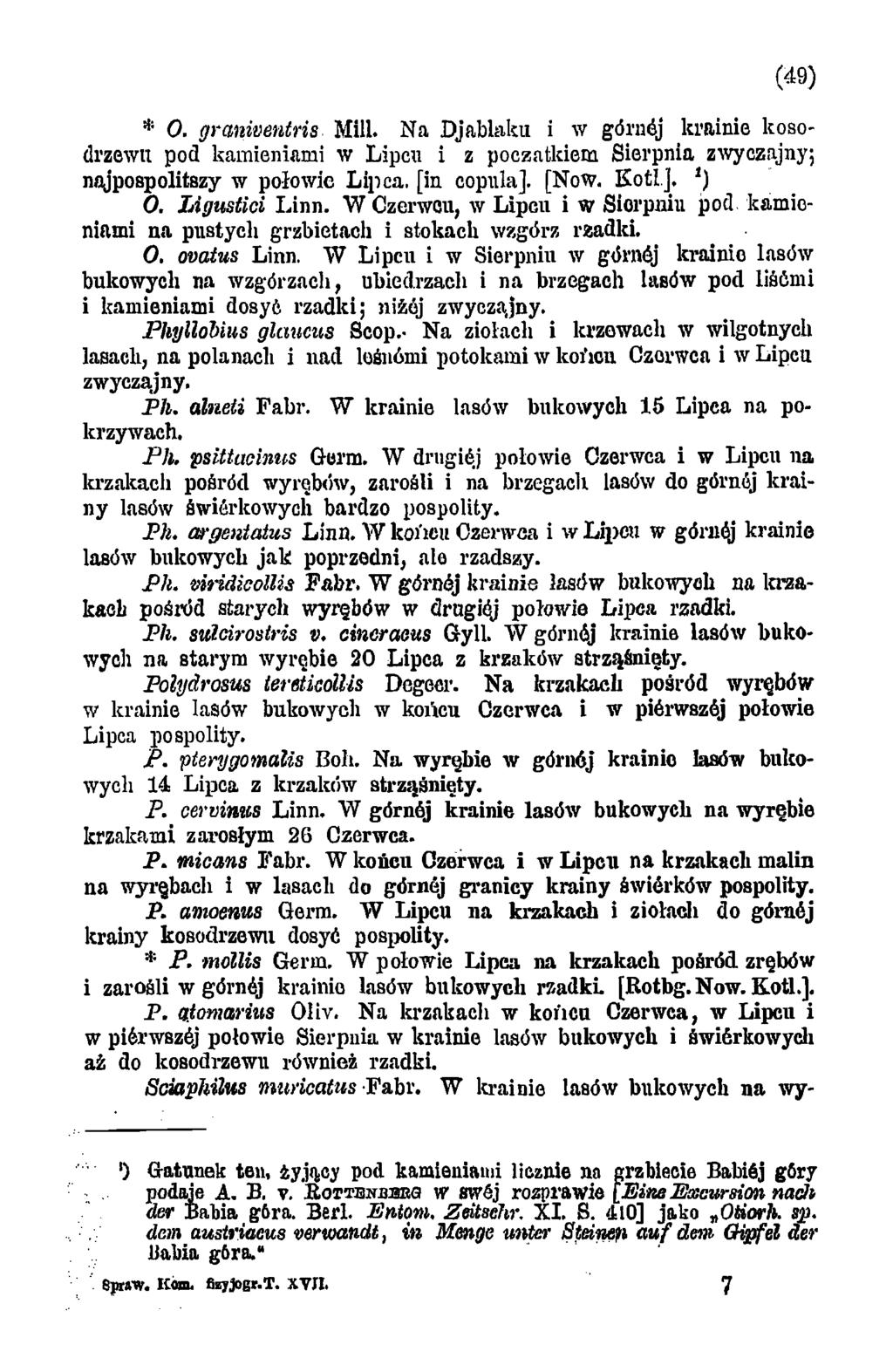 (49) O. graniventris Mili. Na Djablaku i w górnej krainie kosodrzewu pod kamieniami w Lipcu i z początkiem Sierpnia zwyczajny; najpospolitszy w połowie Lipca, [in copula]. [NoW. KotLJ. O. Ligustici Linn.