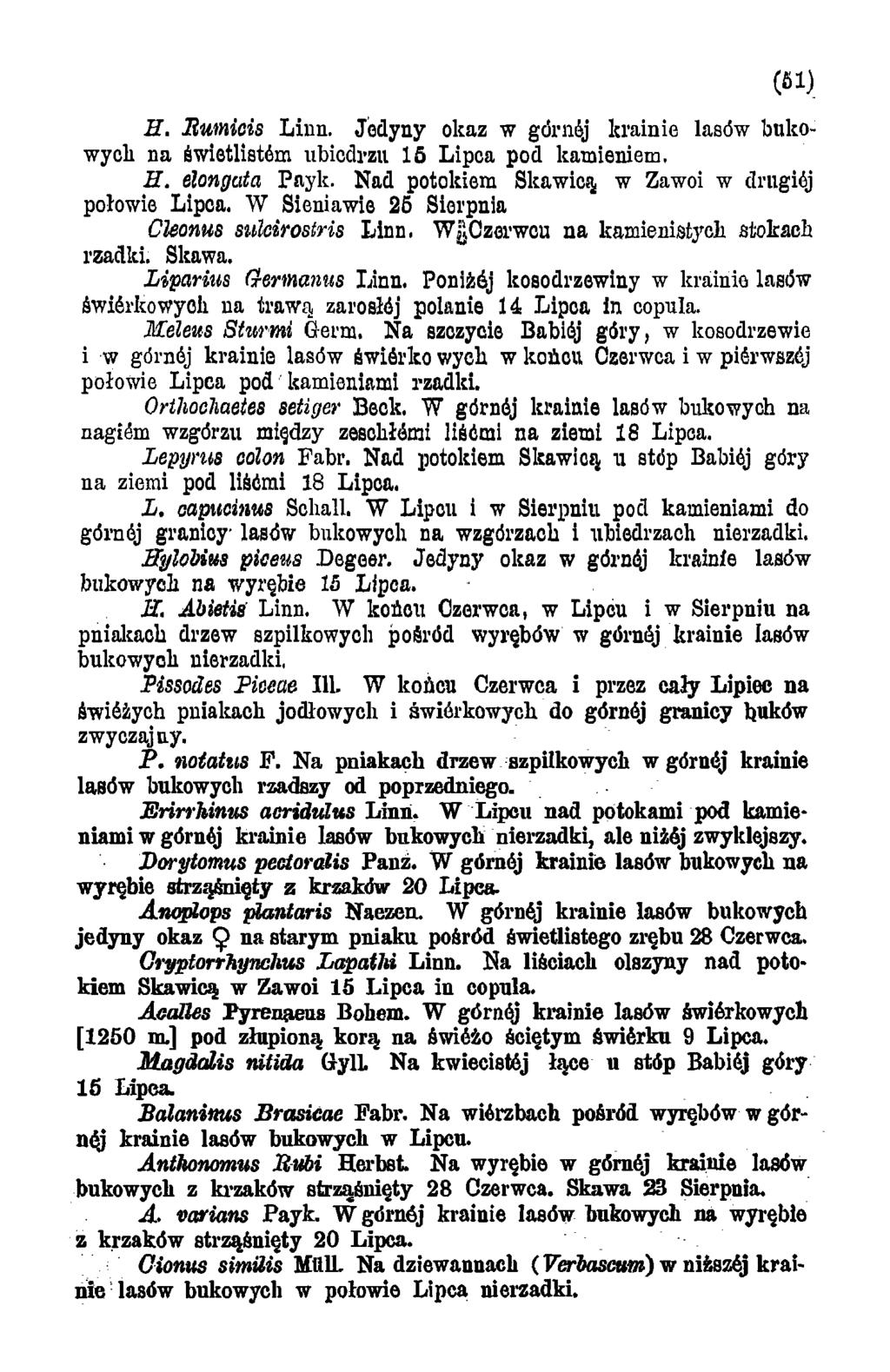 (fil) H. Rumicis Linn. Jedyny okaz w górnej krainie lasów bukowych na świetlistóm ubiodrzu 15 Lipca pod kamieniem. H. elongata Payk. Nad potokiem Skawicy w Zawoi w drugiój połowie Lipca.