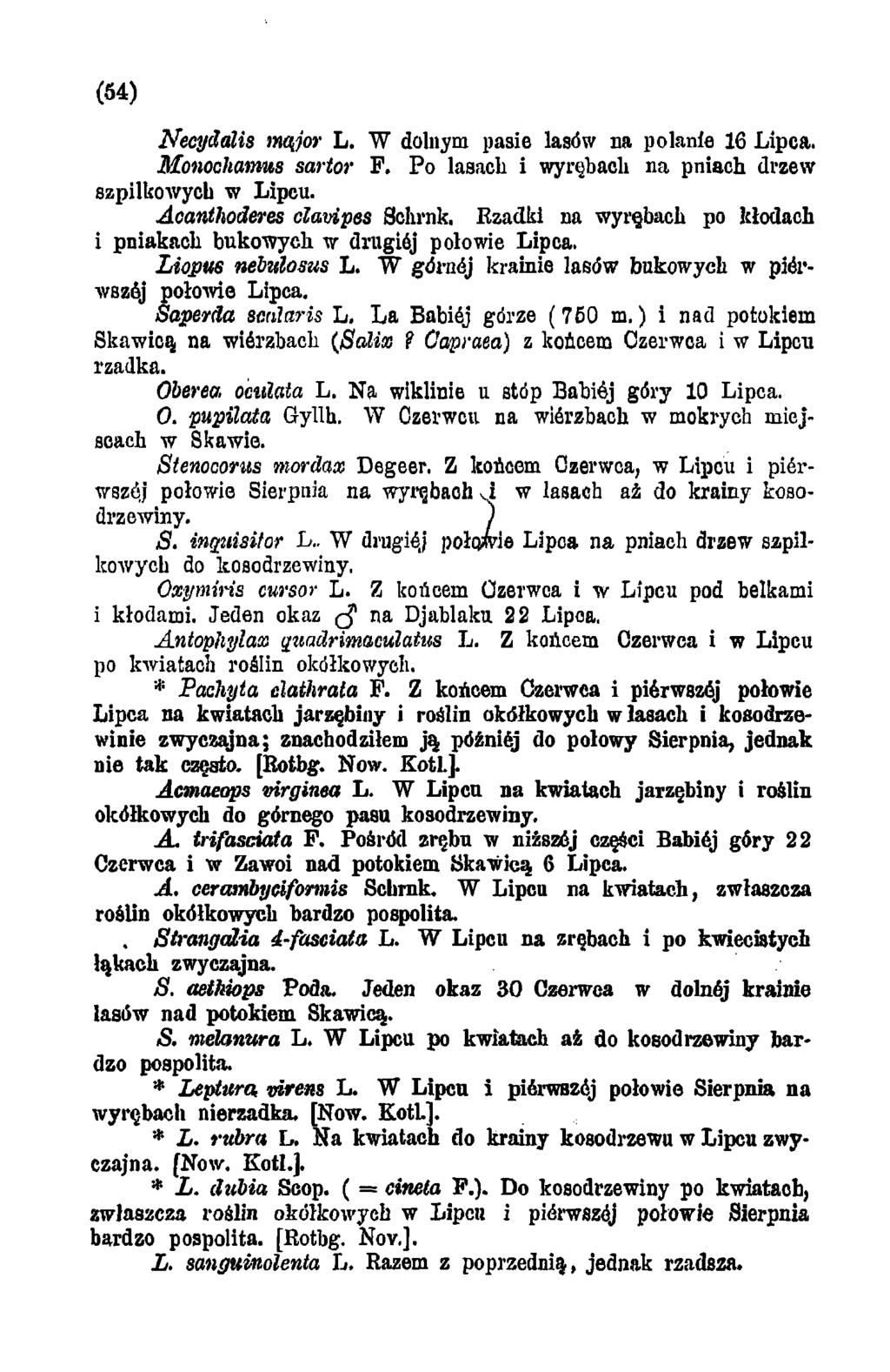 (84) Necydalis mąjor L. W dolnym pasie lasów na polanie 16 Lipca. Monochamts sartor F. Po lasach i wyrębach na pniach drzew szpilkowych w Lipcu. Acanthoderes clavipes Schrnk.