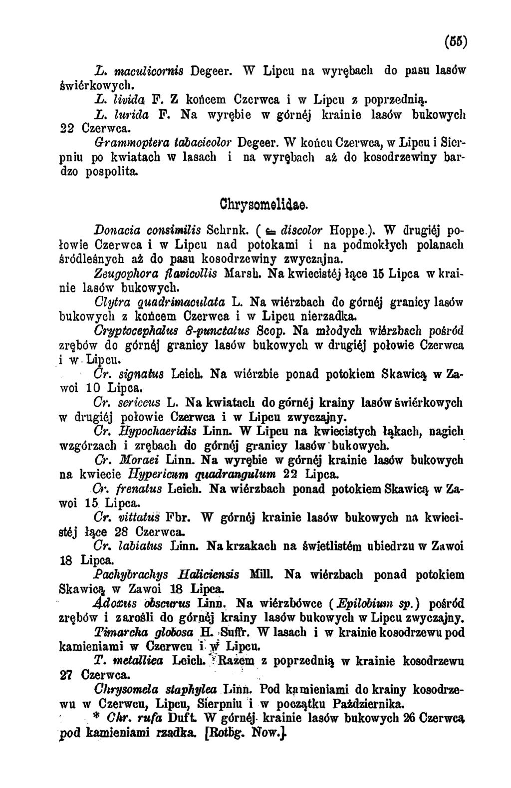 (65) L. maculicornis Degeer. W Lipcu na wyrębach do pasu lasów świerkowych. L. livida F. Z końcem Czerwca i w Lipcu z poprzednią. L. lurida F. Na wyrębie w górnej krainie lasów bukowycli 22 Czerwca.