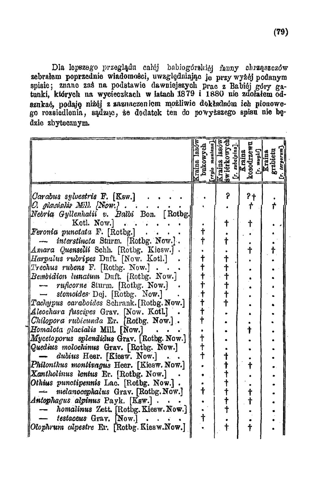 (79) Dla lepszego przeglądu całćj babiogórskiej fauny chrząszczów zebrałem poprzednie wiadomości, uwzględniając je przy wyżej podanym spisie; znano zaś na podstawie dawniejszych prac z Babiej góry