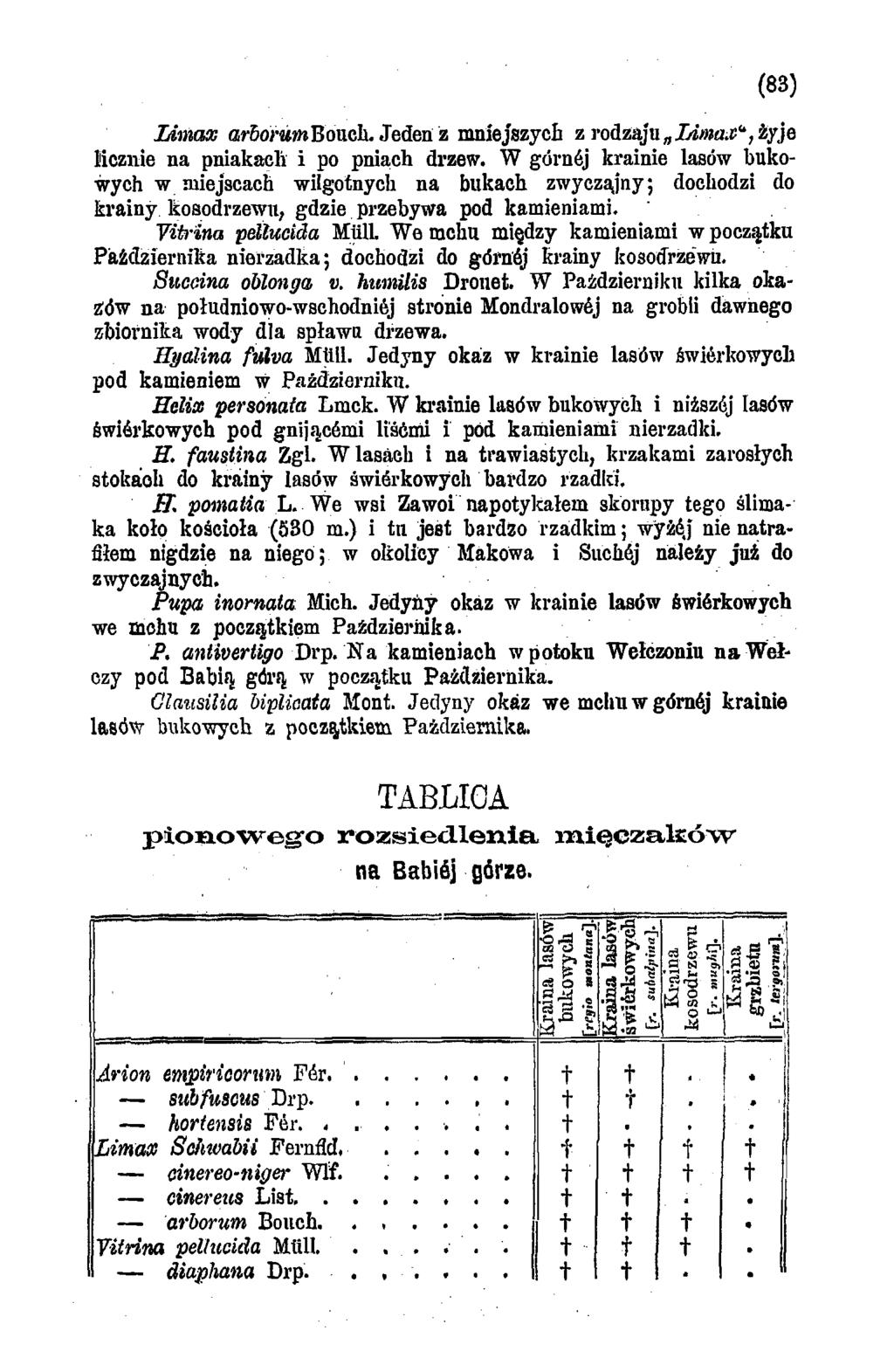 (83) Limax arsoramboucl Jeden z mniejszych z rodzaju Limax*, żyje licznie na pniakacli i po pniach drzew.