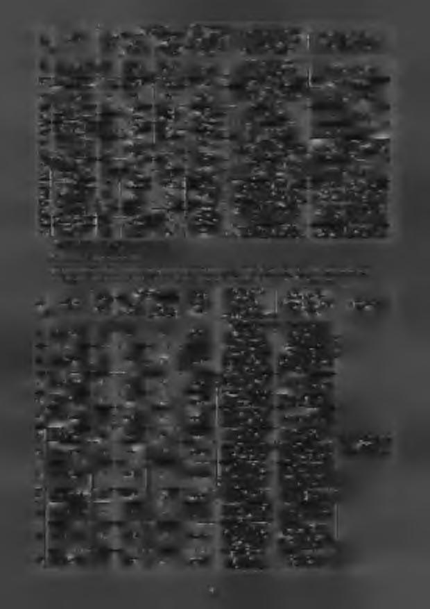 lp. po ziale Pow. zajęcia stałego działki przeznaczonej inwestycję 52. Roztoki, 008 250/ 250/2 4,4660 wg wypisu z ewidencji gruntów i budynków wg księgi wieczystej 53.
