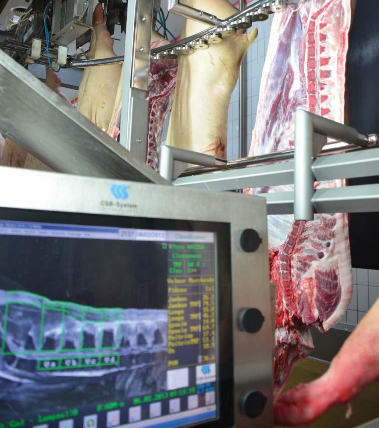 Ponadto ubojnia posiada certyfikat BIO BE-BIO-01, a zakład ubojowy dysponuje certyfikatem BRC (V6), tak jak i system autokontroli.