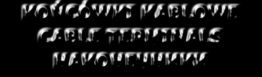 TERMINALS