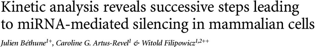 Destabilization of target mrna is the predominant reason for reduced protein output. Step 1.